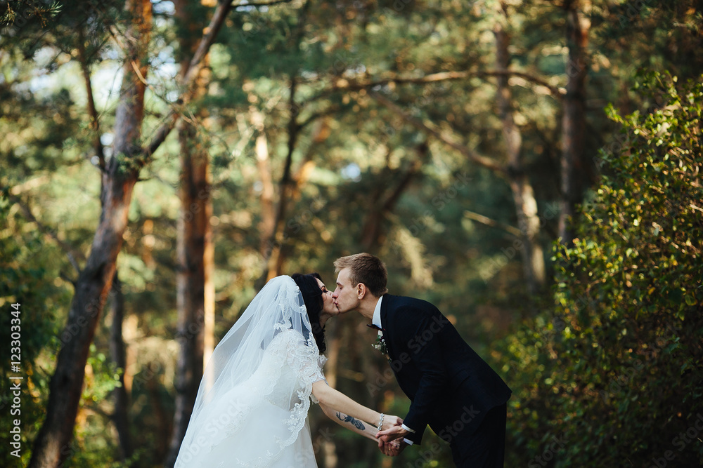 Fototapeta premium Beautiful wedding couple kissing