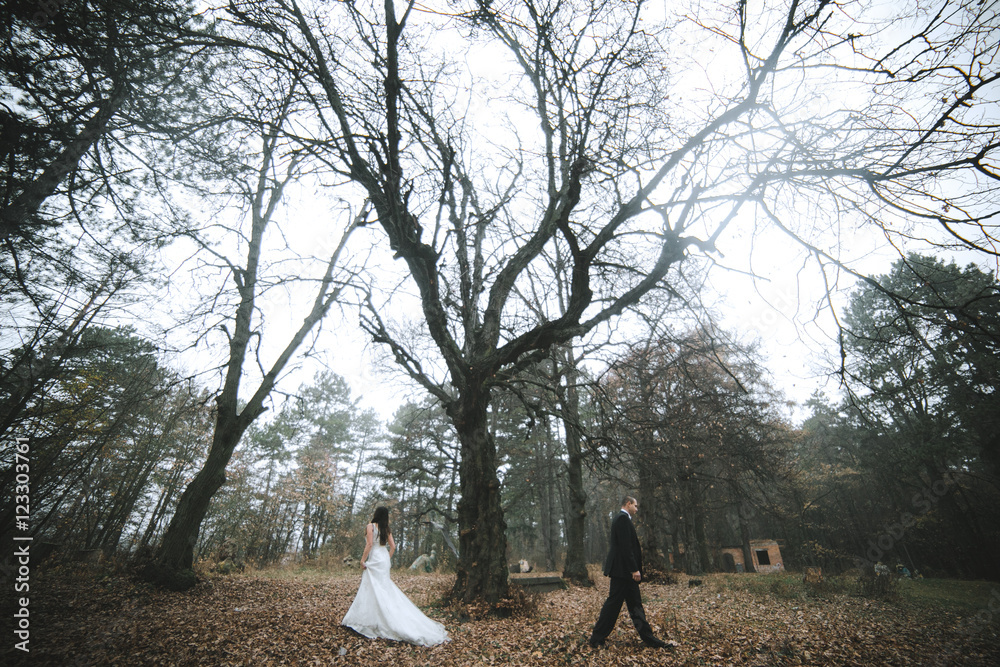 happy bride and groom posing in the autumn forest happy bride and groom posing in the autumn forest
