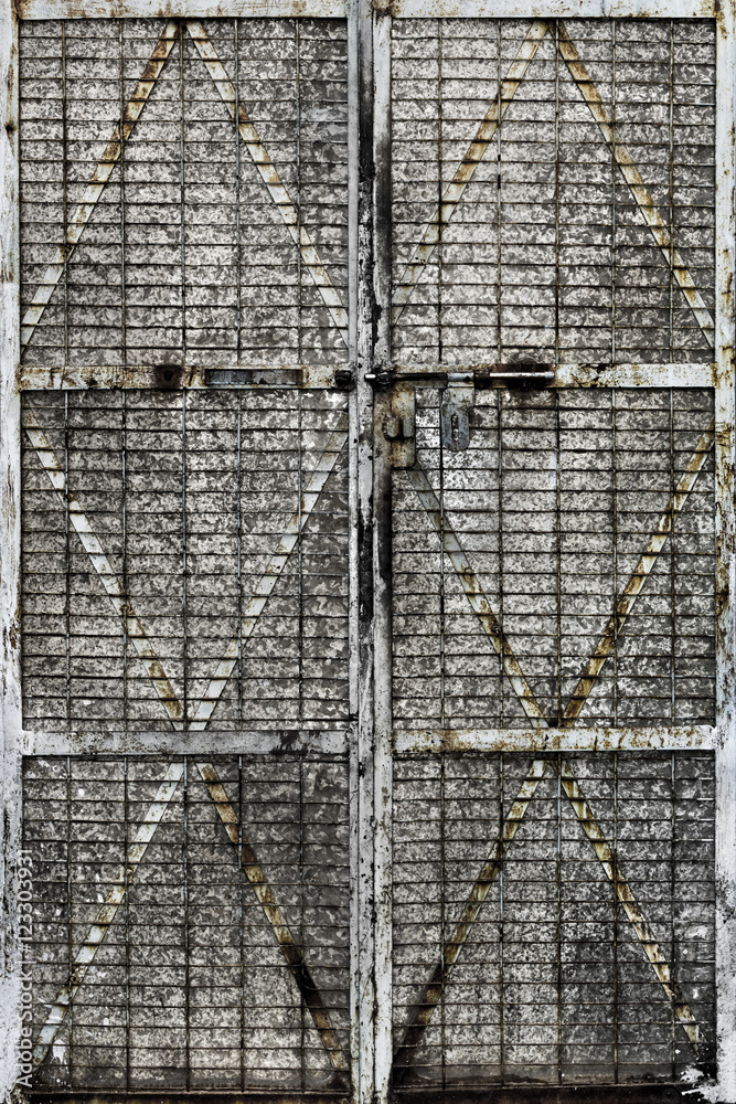 Tarnished metal door, Jodhpur, Rajasthan, India Tarnished metal door, Jodhpur, Rajasthan, India