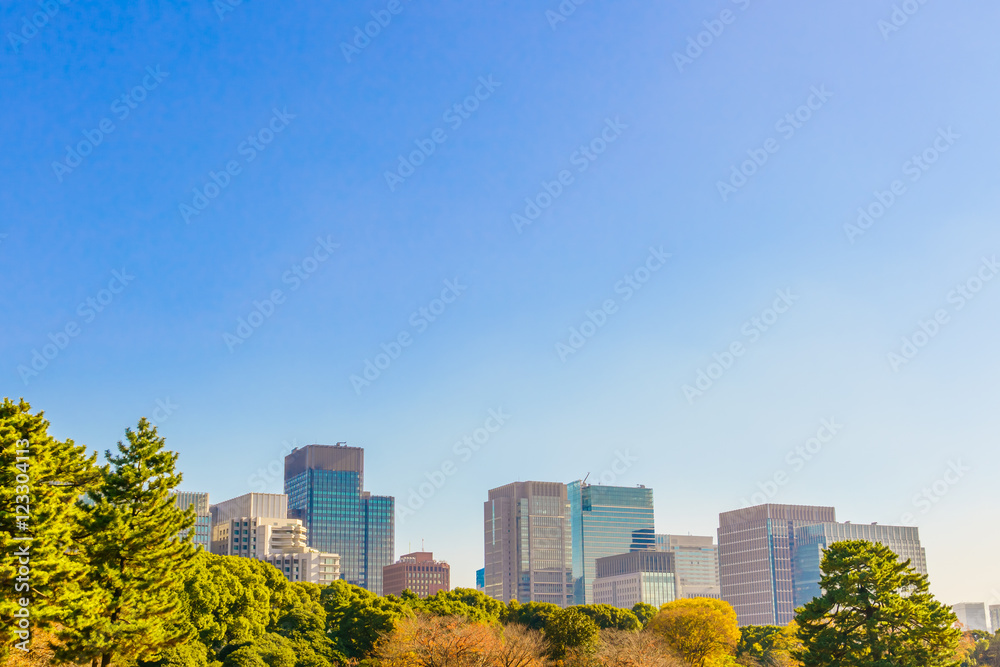 Obraz premium Tokyo, Japan cityscape