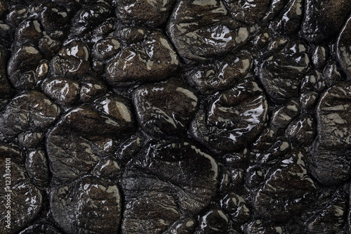 crocodile leather texture © salman2