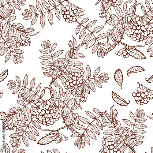 Autumn rowanberry leaves and berries. Detailed intricate hand drawing. Chaotic distribution of elements. Seamless pattern. EPS10 vector illustration.