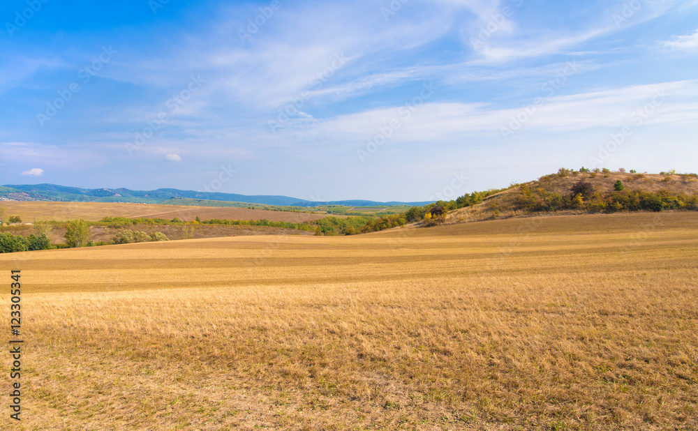 Beautiful harvested field and blue sky