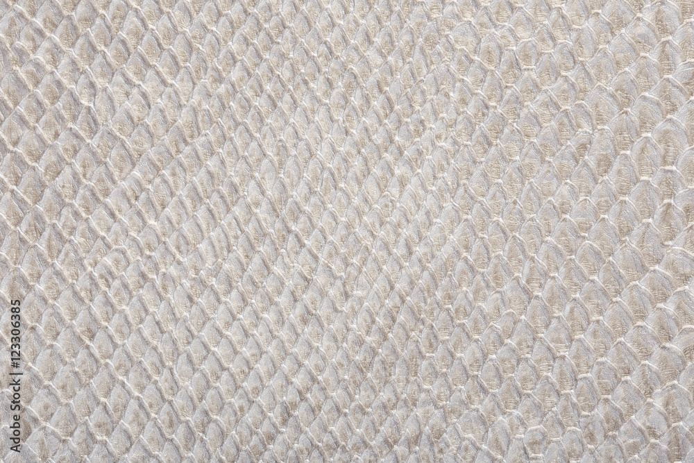 gray snakeskin gray snakeskin