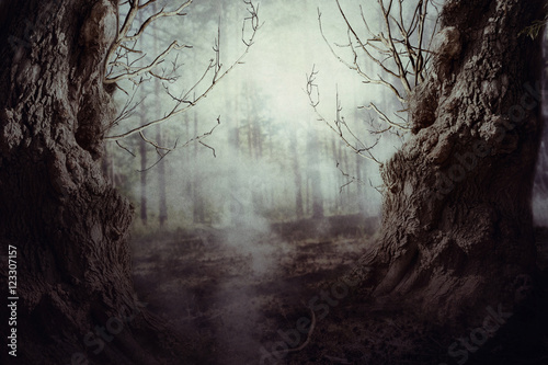 Fototapet Spooky Tree in Night Mist
