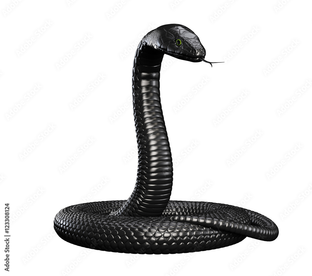 Naklejka premium Czarny wąż na białym tle. Ilustracja 3D