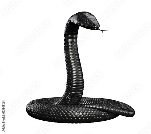 Black Snake isolated on White Background. 3D illustration