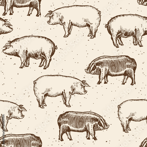 Pigs seamless pattern farm pigs