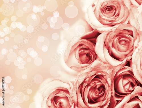 Beautiful roses flowers on beautiful bokeh background  with color filter