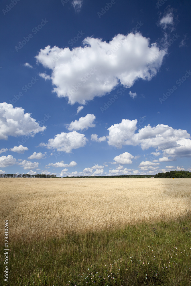 clouds over the field