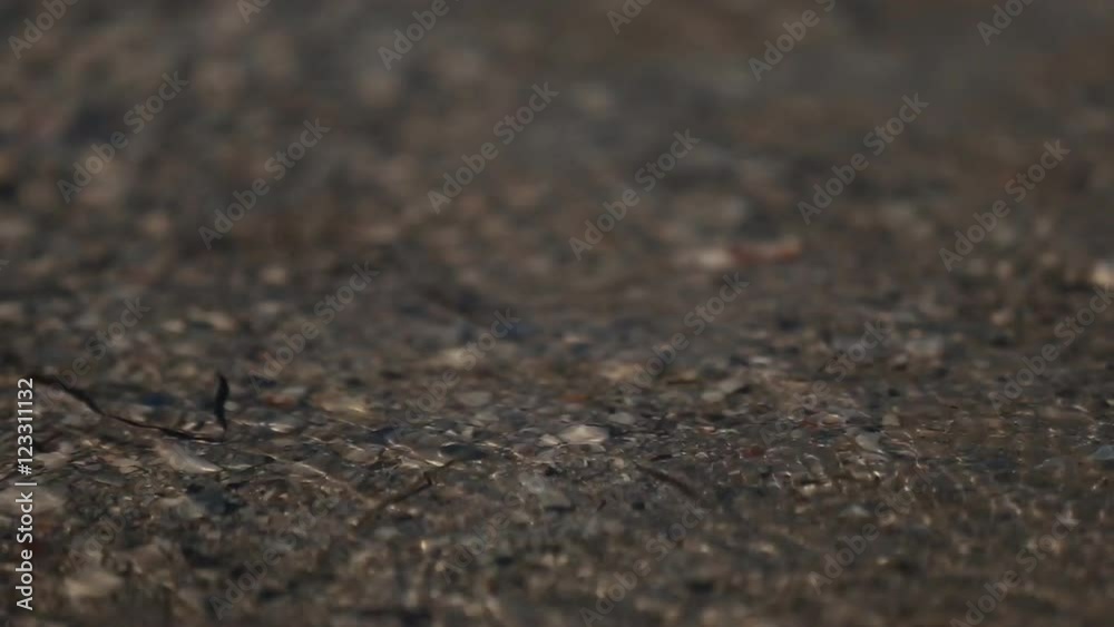 lapped by the waves of the sea coast lapped by the waves of the sea coast