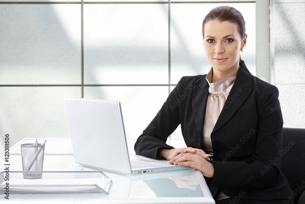 Portrait of elegant businesswoman with laptop Portrait of elegant businesswoman with laptop