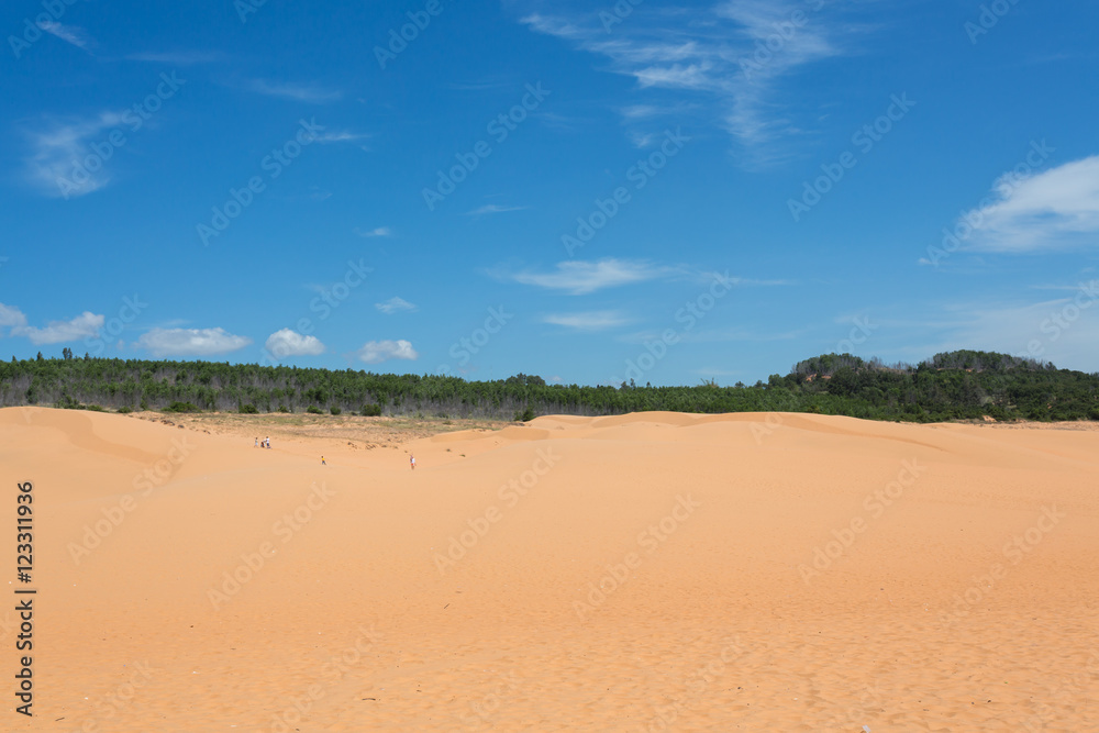 red sand dune desert in Mui Ne, Vietnam red sand dune desert in Mui Ne, Vietnam