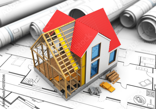 Fototapeta Naklejka Na Ścianę i Meble -  house project