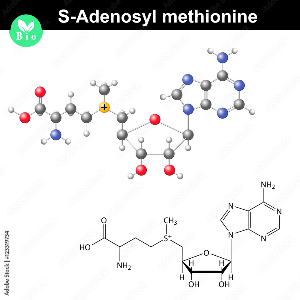 S Adenosyl methionine coenzyme molecular structure