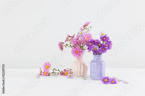 flowers  in ceramic vases on white background
