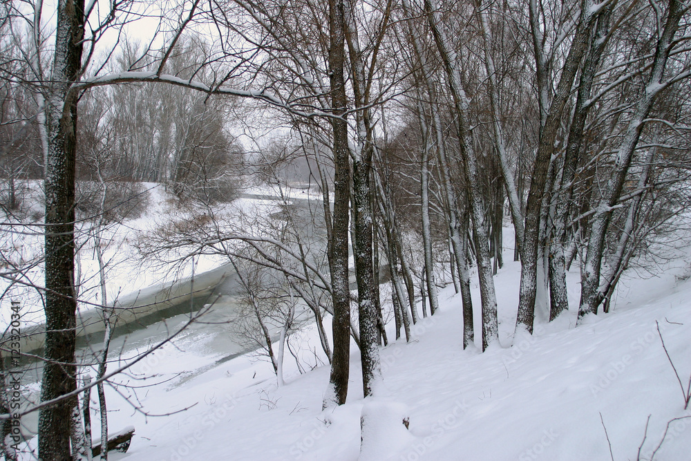 Winter on the river