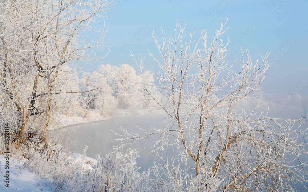 Frosty morning on the riverbank