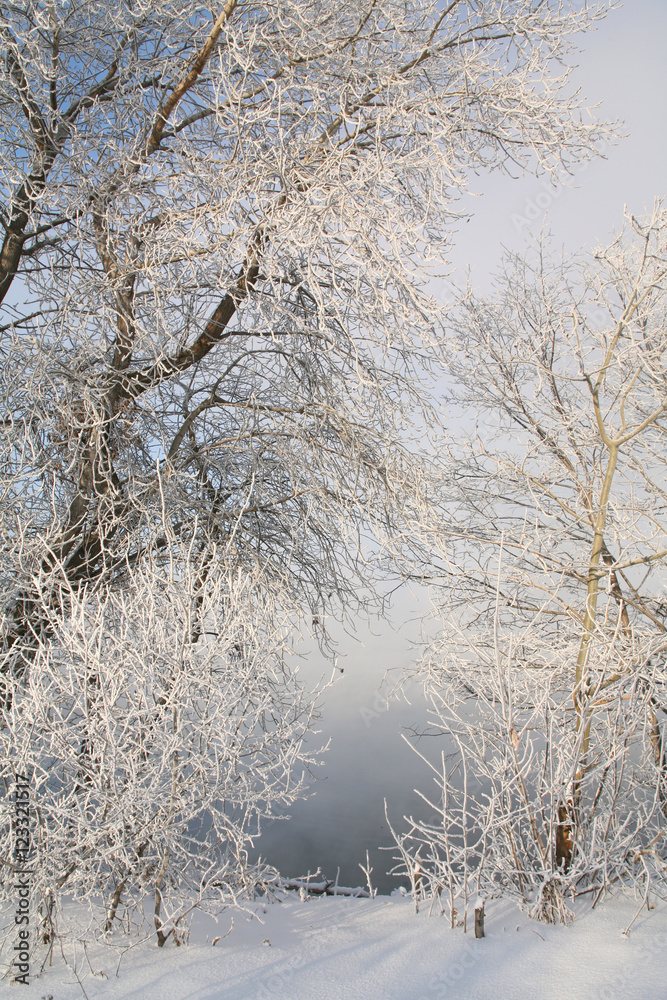 Frosty morning on the riverbank Frosty morning on the riverbank