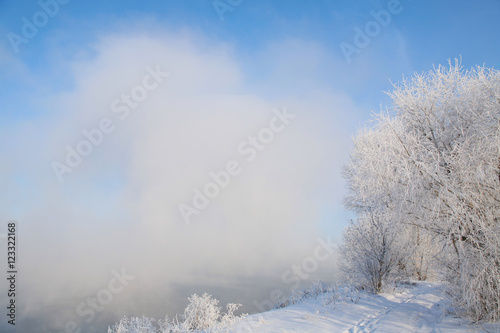 Frosty morning on the riverbank