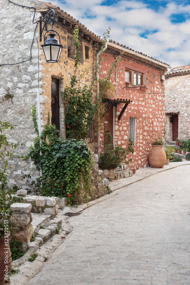 Fototapeta premium Narrow cobbled street with flowers in the old village Tourrettes