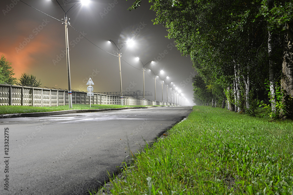 Naklejka premium Дорога под фонарями