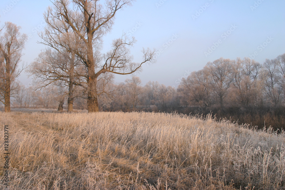Fototapeta premium The arrival of winter