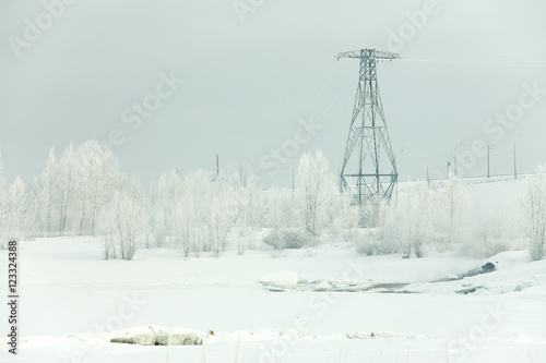 Power lines in the winter