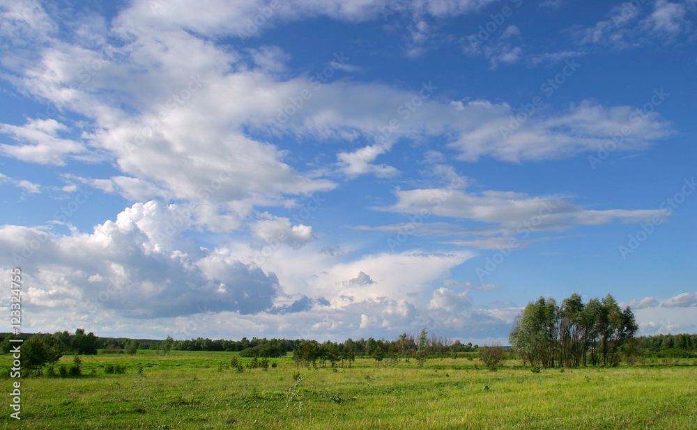beautiful white clouds
