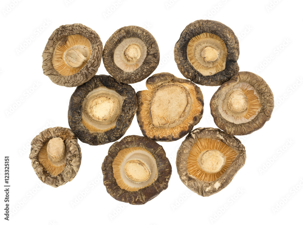 Underside of dried mushrooms on a white background. Underside of dried mushrooms on a white background.