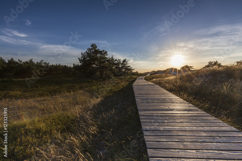 Weg zum Weststrand vom Fischland Dar   