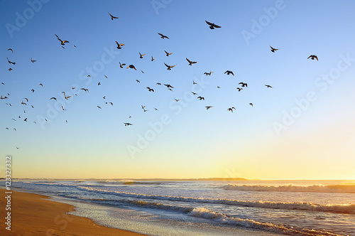 beautiful sunrise on the Atlantic Ocean. Rolling waves in the warm sunshine  blue sky and a lot of birds in the sky  