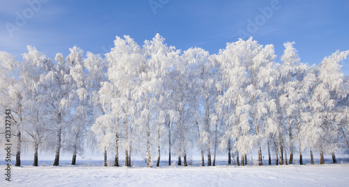 Walk through the beautiful winter scene in Russia