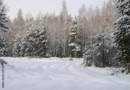 Walk through the beautiful places frosty Russian winter