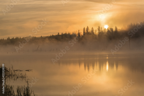 lake sunrise fog golden