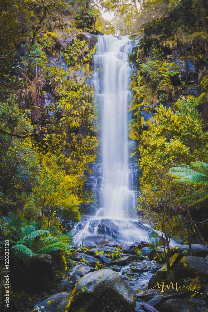 Fototapeta premium Erskine Waterfall