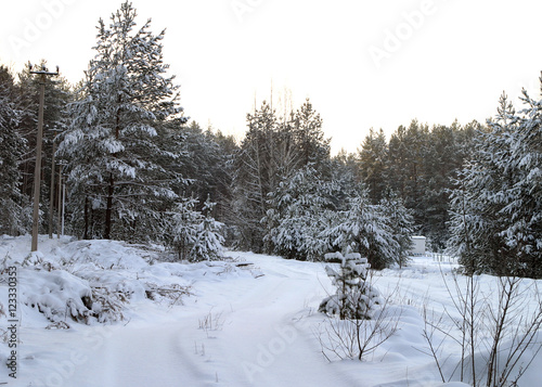 Walk through the beautiful places frosty Russian winter © salman2