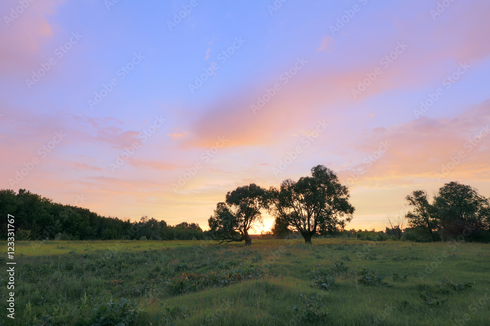 sunset over the oak grove