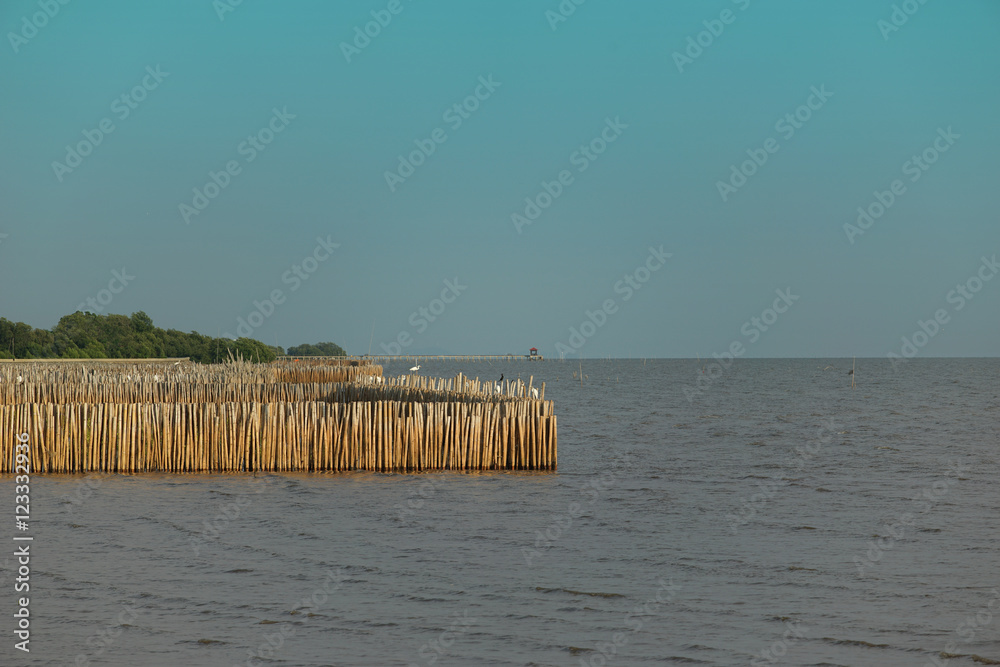 Row of bamboo stick in the sea with blue sky background.