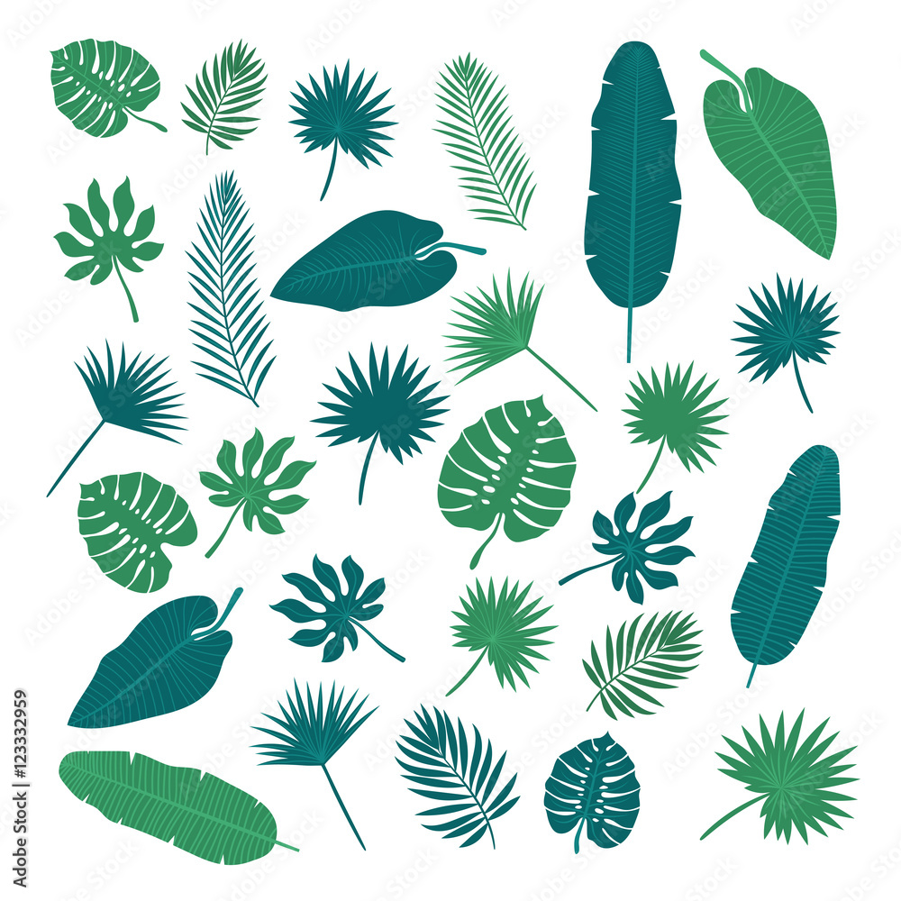 Collection of tropical leaves. Nature elements for your design