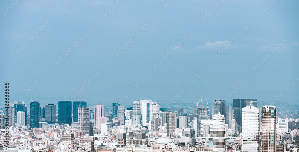 Fototapeta premium 大阪