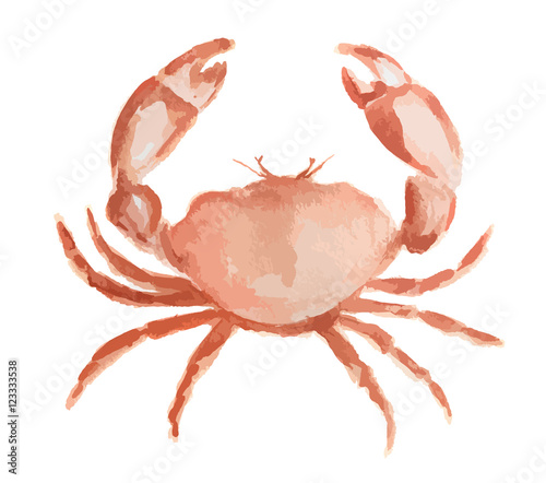 Isolated watercolor crab on white background. Fresh and tasty gourmet seafood for restaurant.