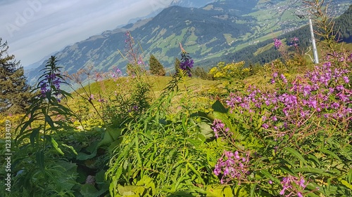 Landschaft Kitzbühel, Austria  photo