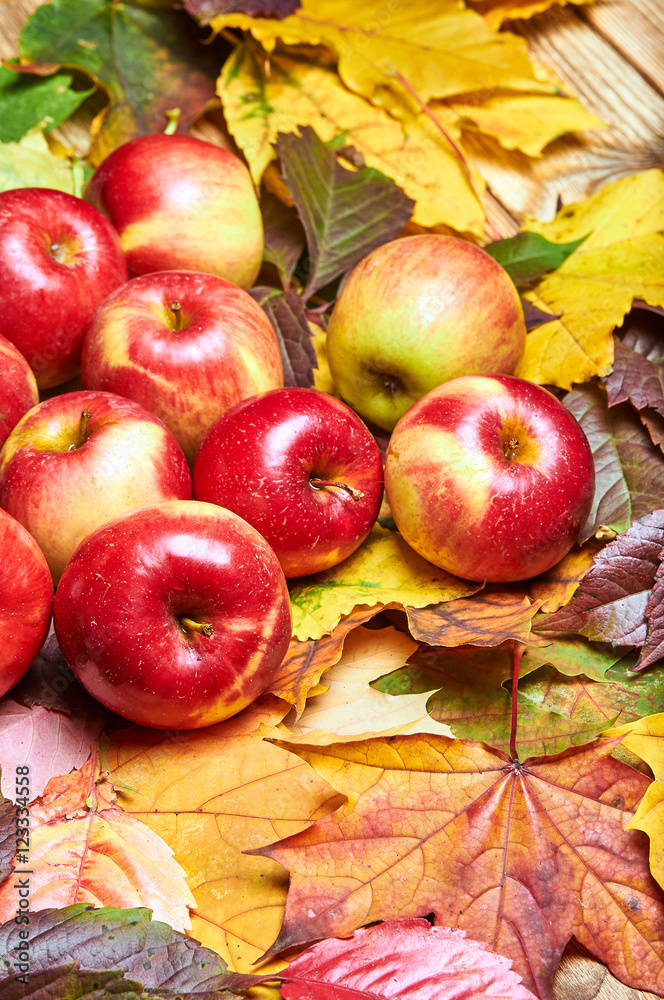Yellow, red and green fallen dry leaves. Small juicy red apples on the table. Yellow, red and green fallen dry leaves. Small juicy red apples on the table.
