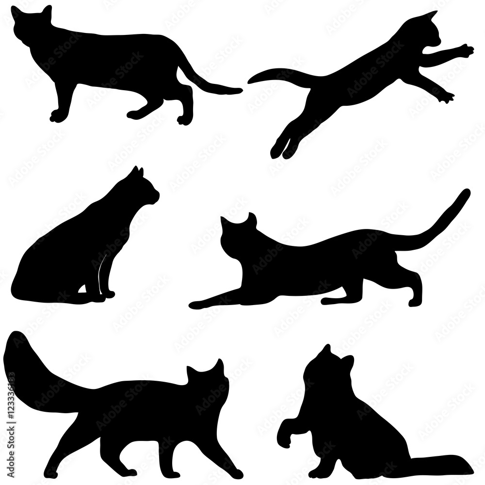 Cats collection - vector silhouette