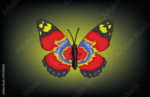 BUTTERFLY BACKGROUND