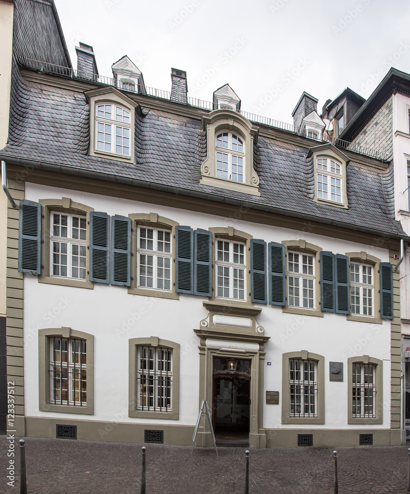 Fototapeta premium Karl Marx Haus