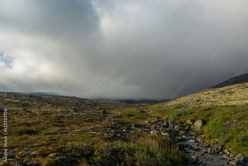 Mountain stream