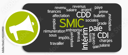 Nuage de mots : SMIC