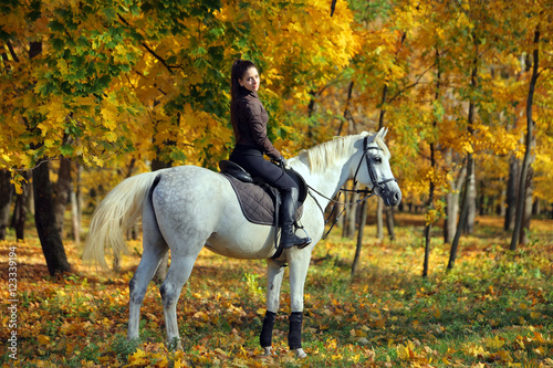 Equestrian model on horseback in autumnal nature © horsemen